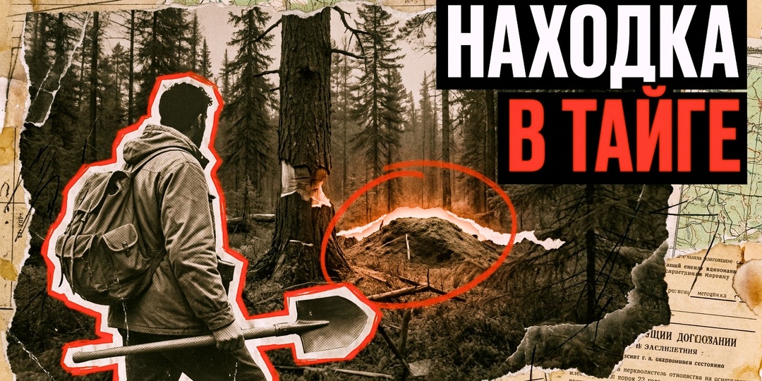 Находка в Тайге