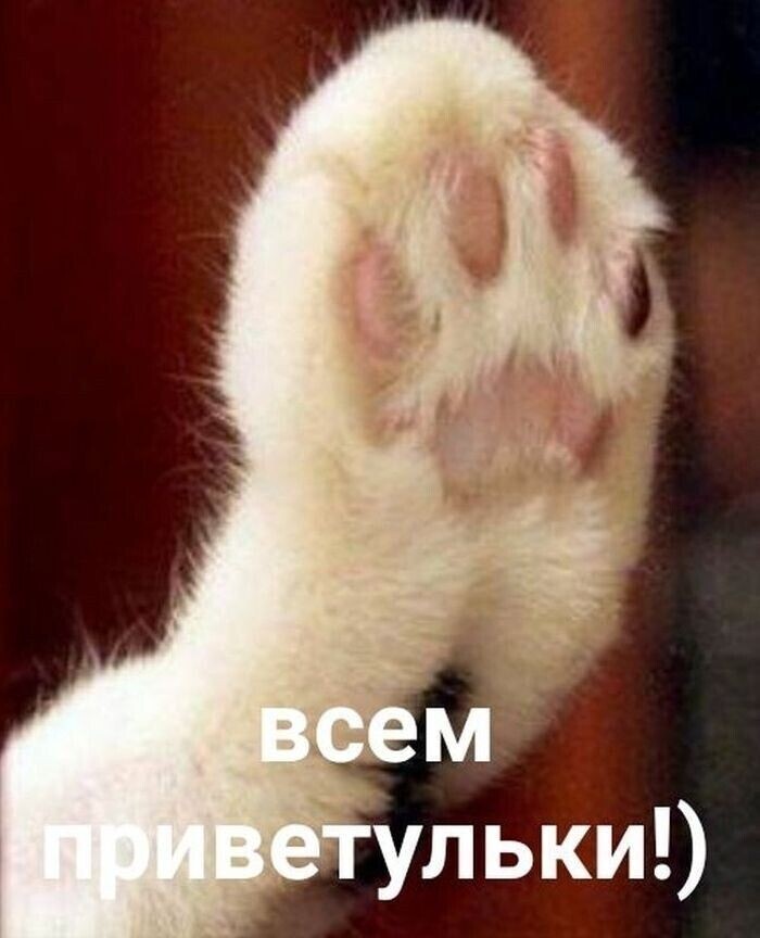 фото из интернета