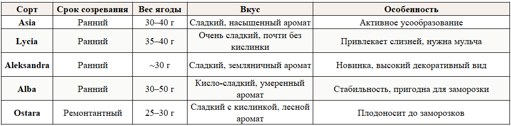 Сравнительная таблица сортов