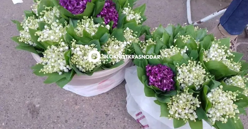 «Наказать губителей природы»: краснодарцы требуют остановить продажу ландышей