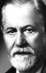 Родился 6 мая 1856 года в еврейской семье в городе Фрайберг в Моравии (ныне Пршибор, Чехия). 
В 1873 году поступил на медицинский факультет Венского университета, который окончил в 1881 году и получил звание доктора медицины. 
В 1885–1886 годах стажировался в Париже у врача-психиатра Жана-Мартена Шарко. 
По возвращении из Парижа открыл частную практику в Вене, где использовал метод гипноза для лечения больных. 
С 1896 года по 1902 год разработал основы психоанализа.