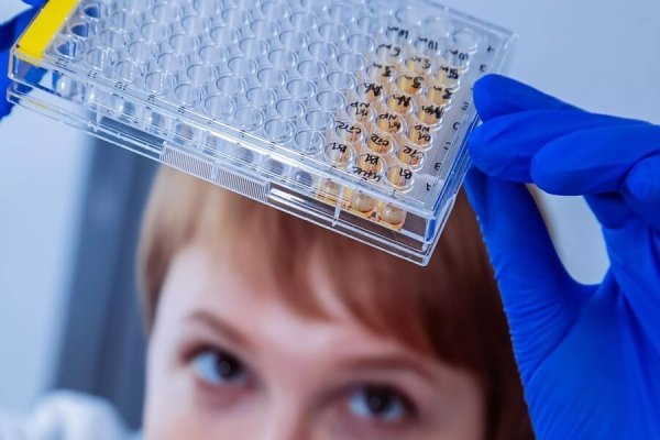 Ученые БФУ создали биочернила на основе животного коллагена