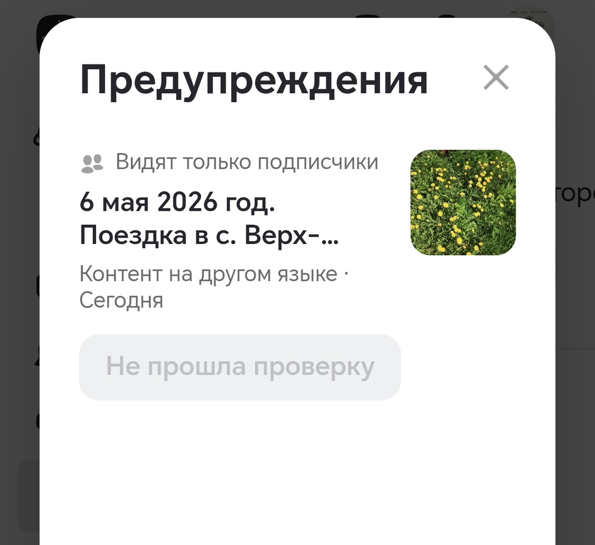 Личный скриншот автора канала