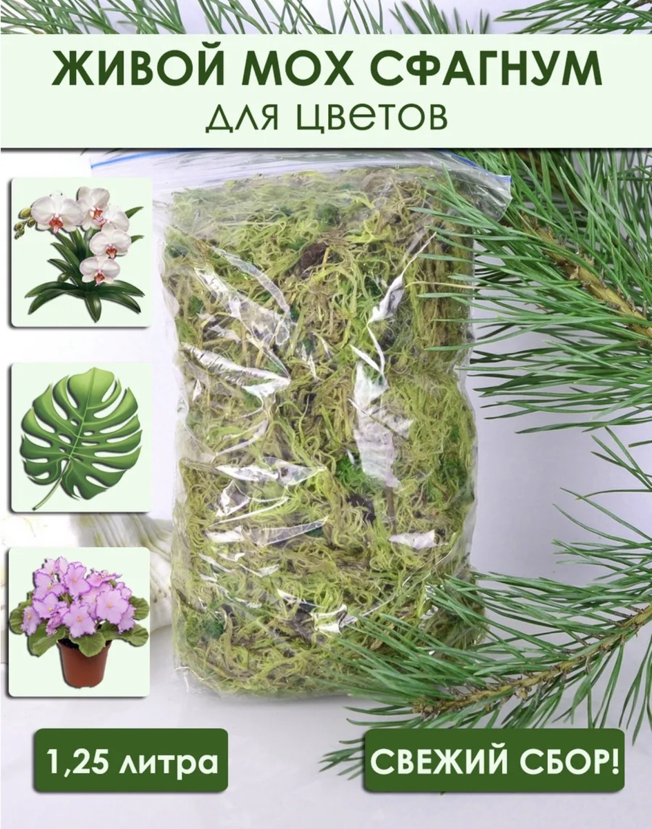 Фото с карточки Вайлдберис