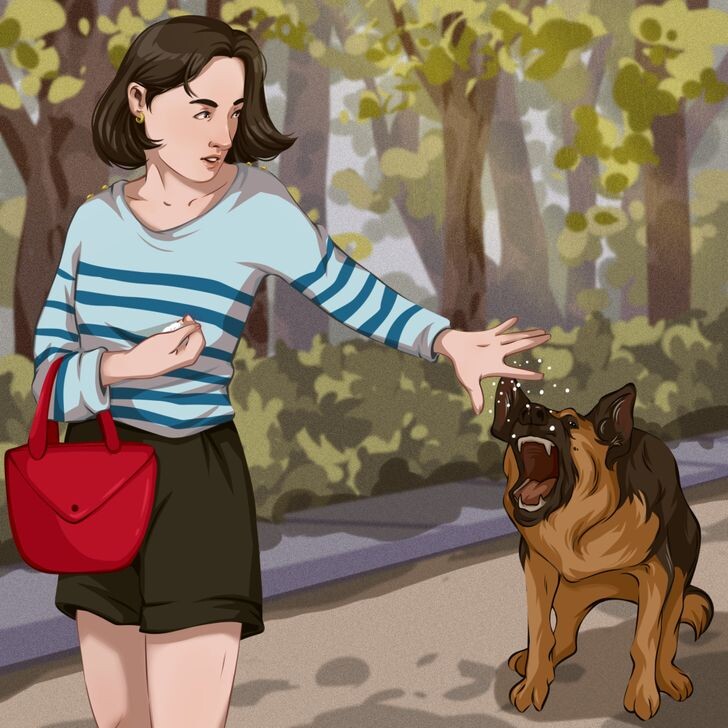 © Иллюстрация создана художниками ADME