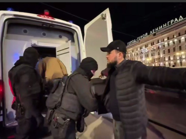     Фото: скрин видео https://t.me/spb_police78