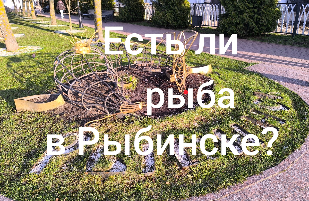 Клумба в виде стерляди пока без цветов. Фото автора.