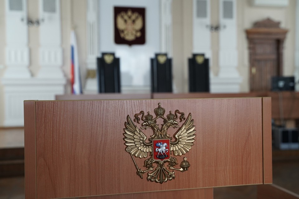    До суда дошло почти 400 дел обманутых мошенниками ростовчан. Светлана МАКОВЕЕВА