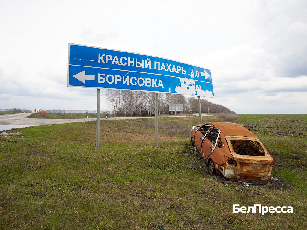    Фото: Елена Журавлёва