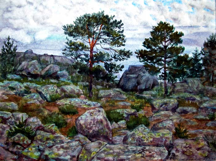 Среди камней