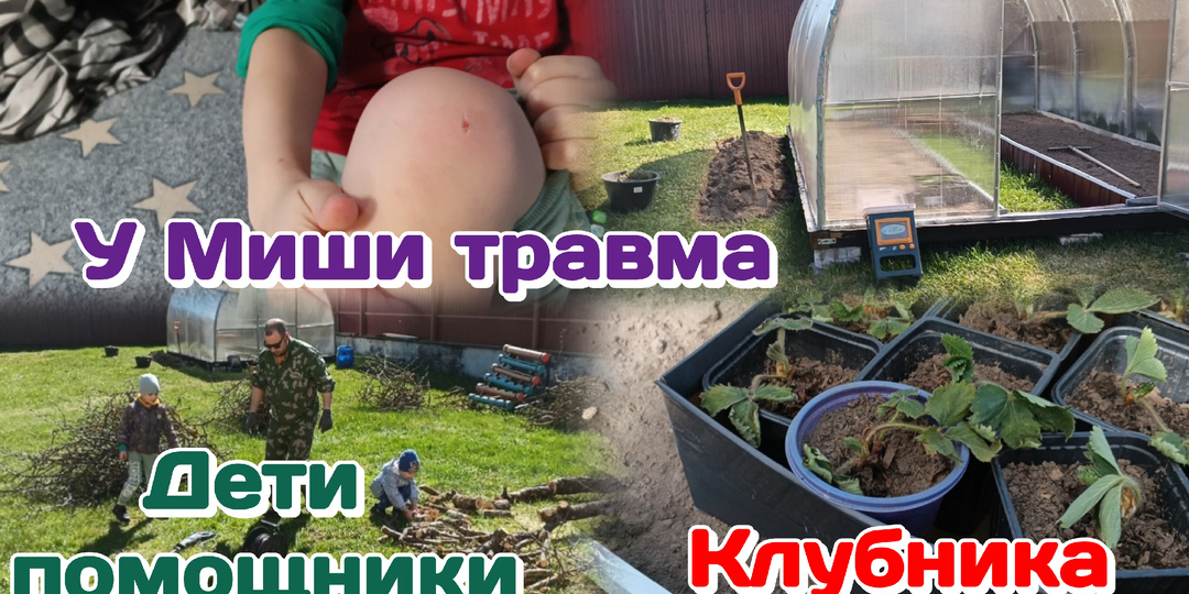 У Миши травма/Клубника,рассада/Папа и сыновья,вместе сила 02.05.26 Часть 2