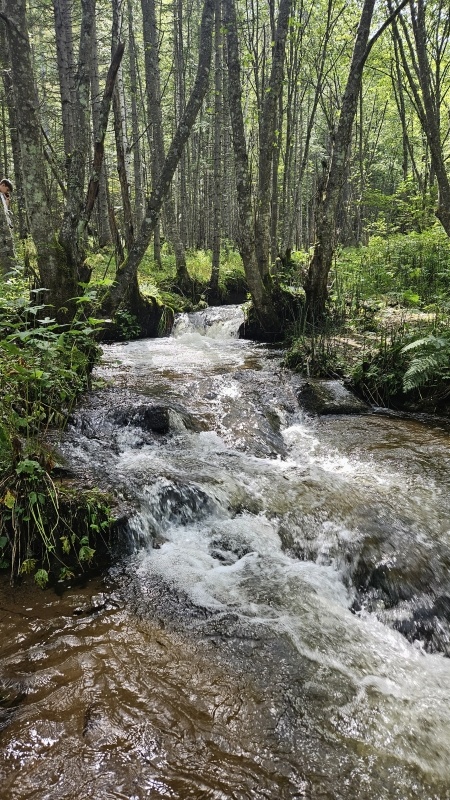 https://idilesom.com/habar/places/photos/5963