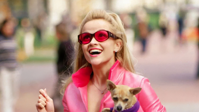    Кадр из фильма «Блондинка в законе» (Legally Blonde, США, 2001)