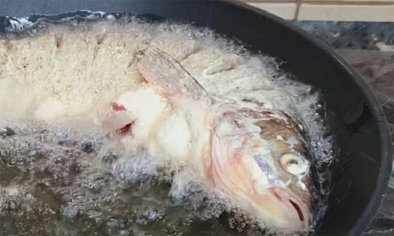 Рецепт нежной и вкусной рыбы на сковороде: как приготовить дешёвую рыбу с ресторанной корочкой