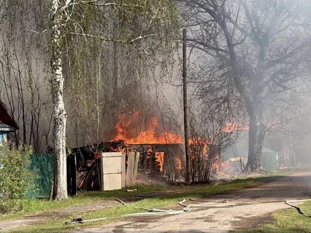    На месте пожара в Злынковском районе Брянской области | © Фото : МЧС Брянской области/MAX