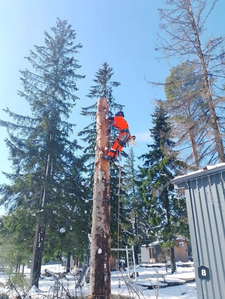 Каждый момент под контролем