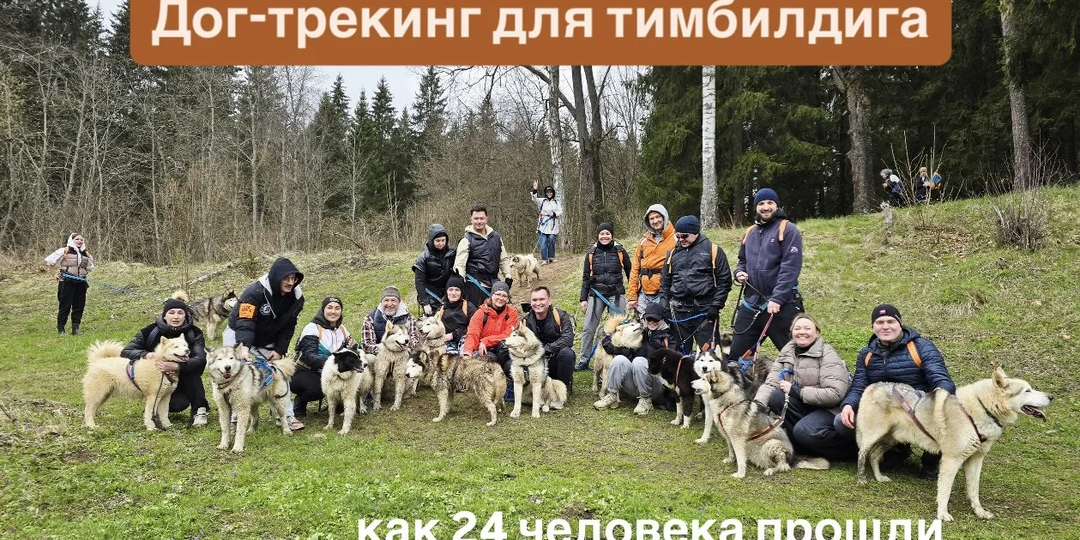 Корпоративы на "Рузской Аляске". Как к нам приезжают 4 года подряд