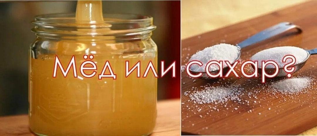 6 отличий мёда от сахара. Что вреднее после 50 — таблица для тех, кто следит за здоровьем