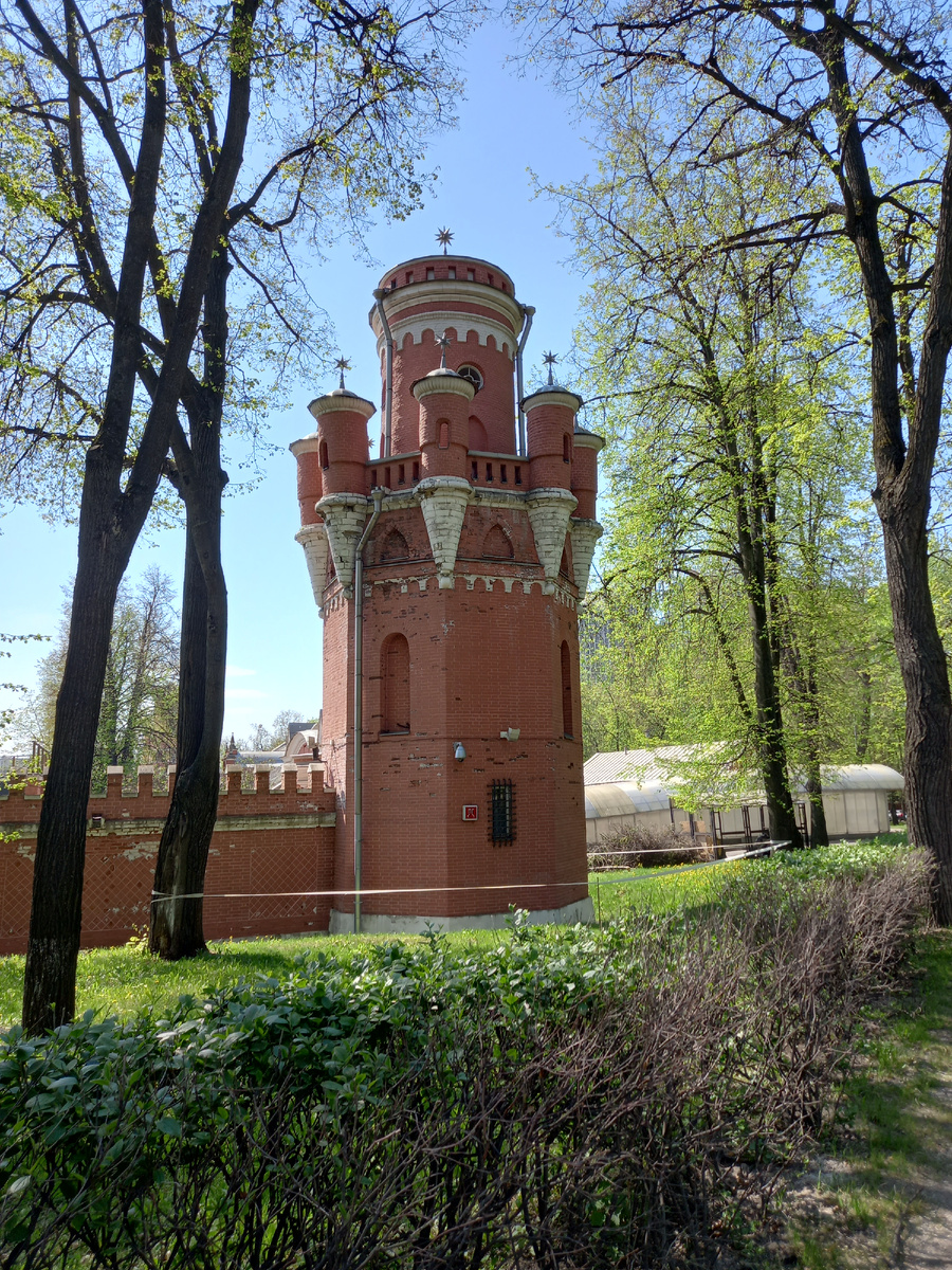 Фото автора.