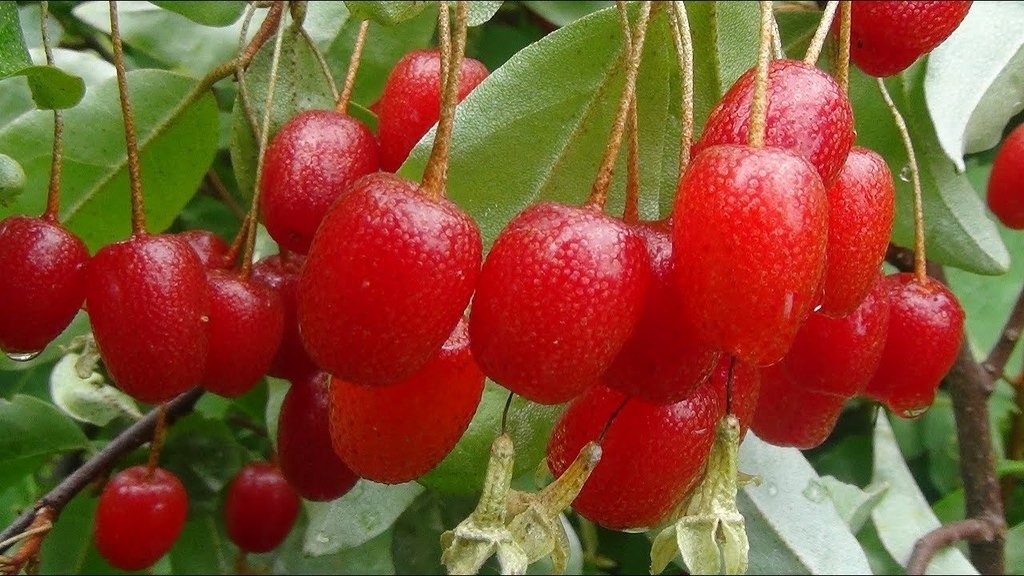 Фотография из интернета