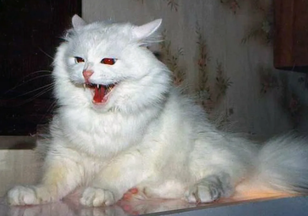 из сети