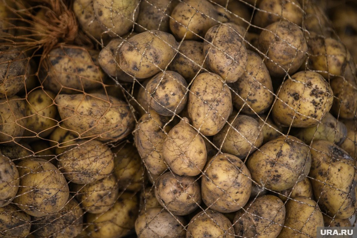     Многие ретейлеры закупают продукцию у других стран