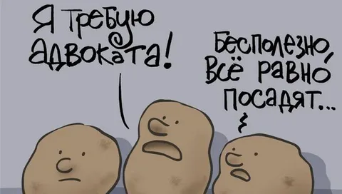анекдоты про картошку
