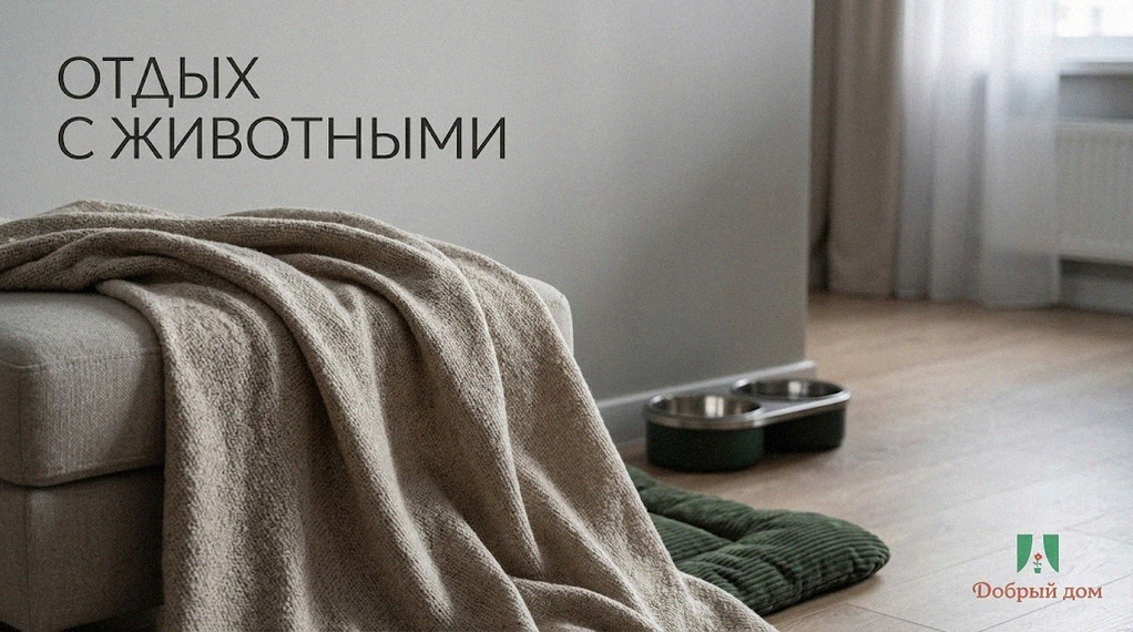    Квартира для краткосрочной аренды в Тюмени с возможностью проживания с животными. site-admin