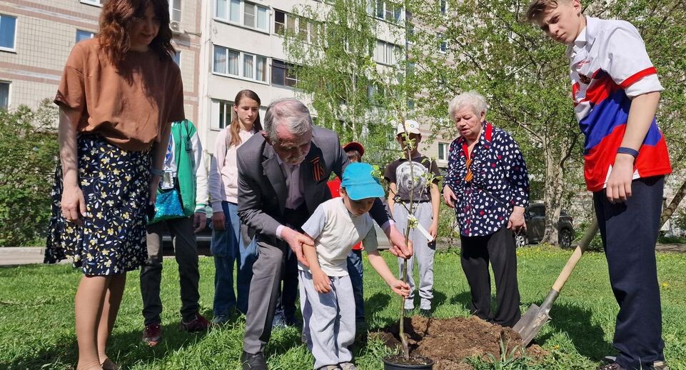    Виктория Фортуна