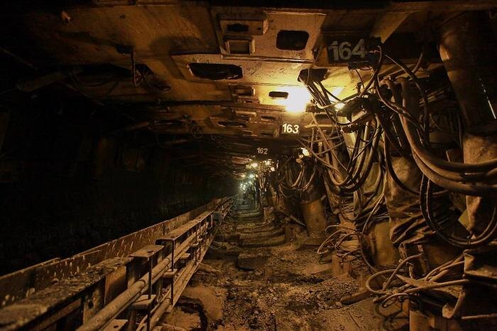 Обложка © Министерство угольной промышленности Кузбасса