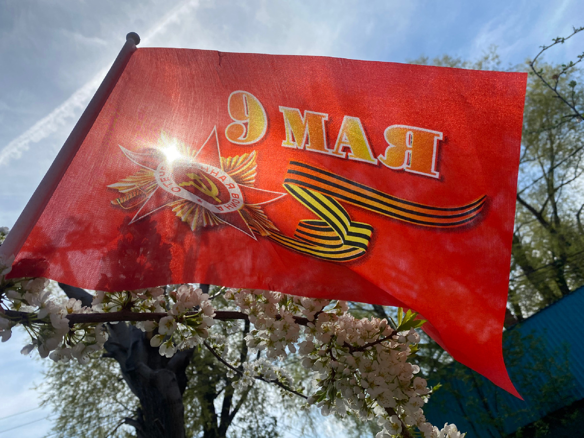 

Зачем мы сняли флаги на Рейхстаге?

Уметь остаться в брошенной стране,

Где красный флаг уже не в моде…

Обнять берёзку, прислониться, как к стене

И записать её глубокий сон в блокноте.

✨

Вновь в хатах стыло и прикрыты зеркала,

Блуждают тени в них… Им не вернуться.

Трещат поленья — зло, и траурна зола,

Ожоги в душах — им не затянуться …

✨

Обычный день — под карандаш …

Ложится нервной буквой на бумаге.

Алеет красным синяя гуашь —

Зачем мы сняли флаги на Рейхстаге?

