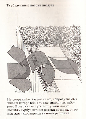 Выбор места для плодового сада