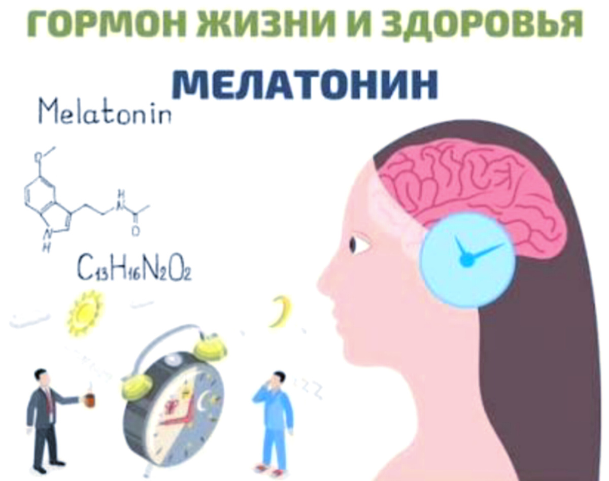 Фото из интернета.