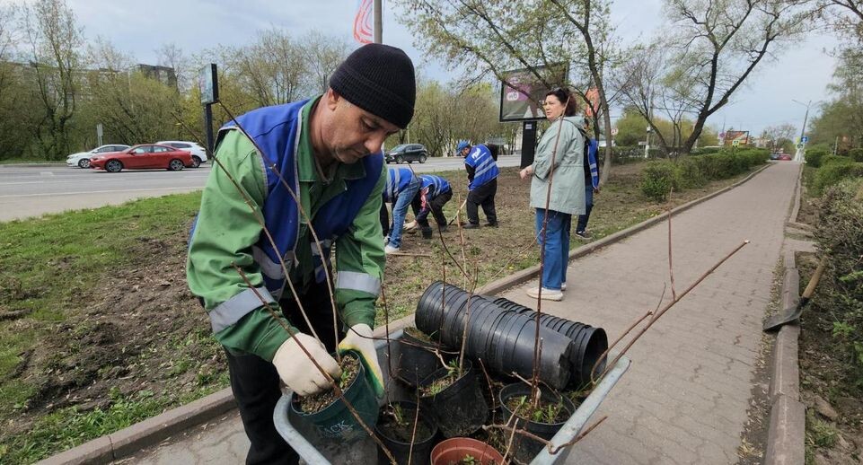    REGIONS/Кристина Ларина