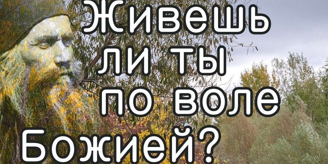 Хочешь узнать волю Божию? Начни с родителей. Старец Фаддей