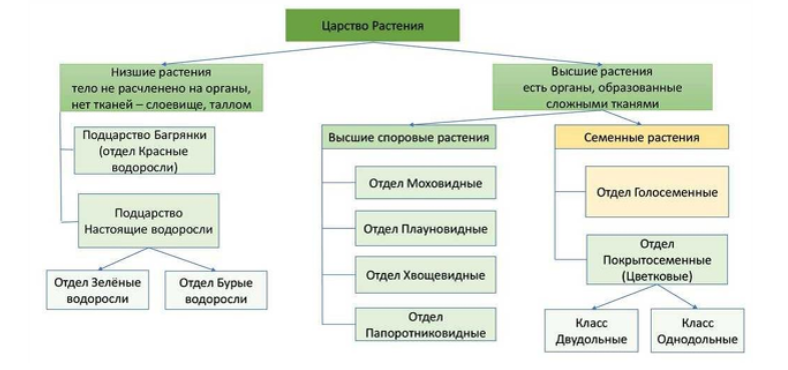 Источник - методические рекомендации для самостоятельной подготовки к ЭГЭ. ФИПИ