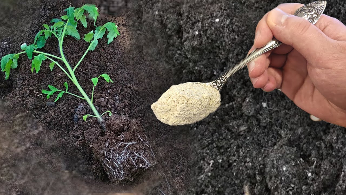 Кадр из видео - https://www.youtube.com/watch?v=7IIVXBJlFZ0