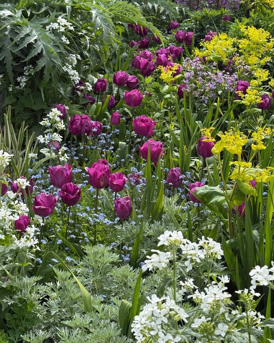 Great Dixter весной