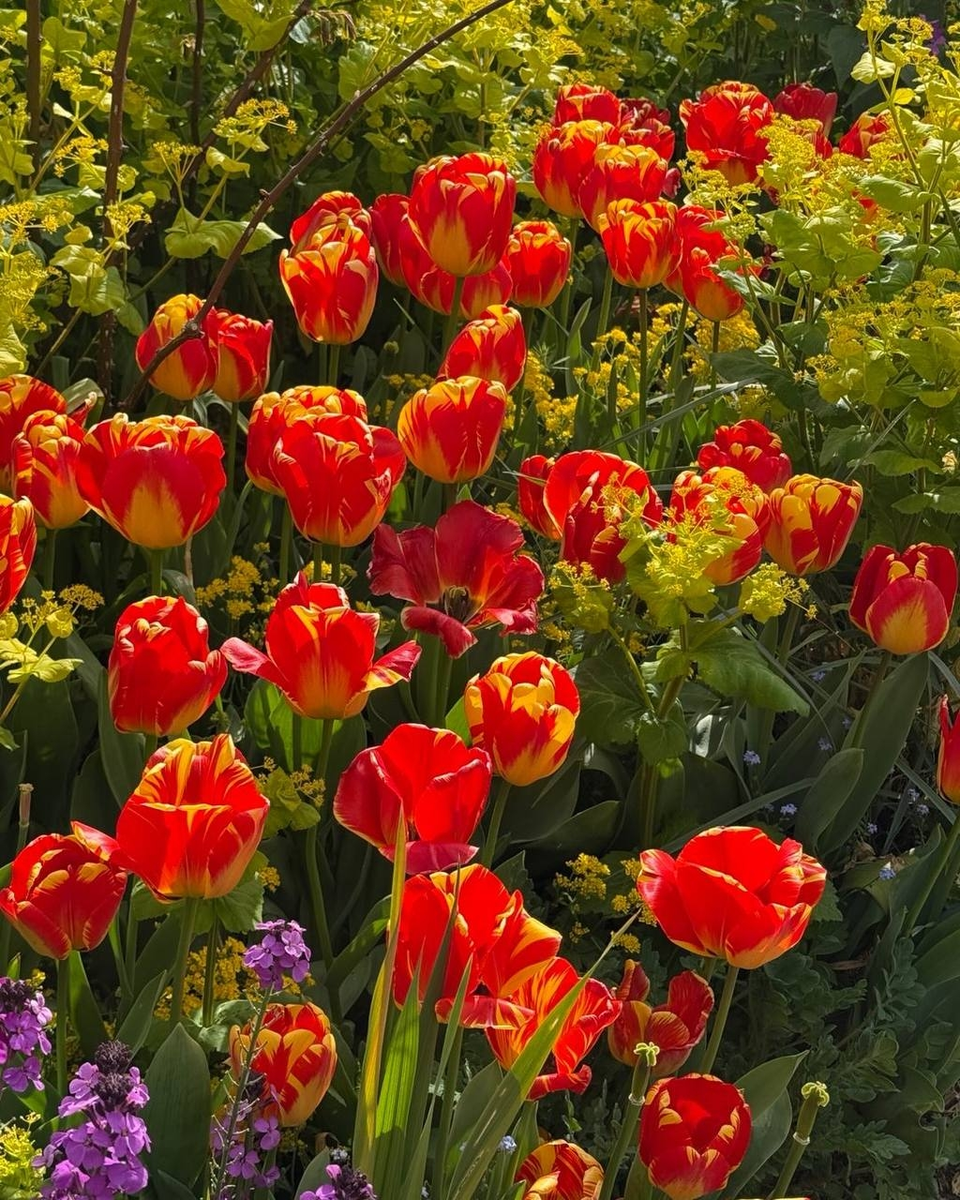 Great Dixter весной