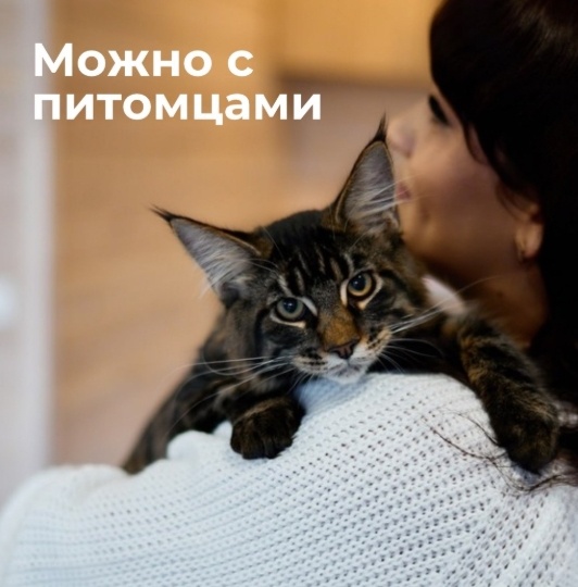 Где в Горном Алтае отдыхнуть с питомцем: dog-friendly места