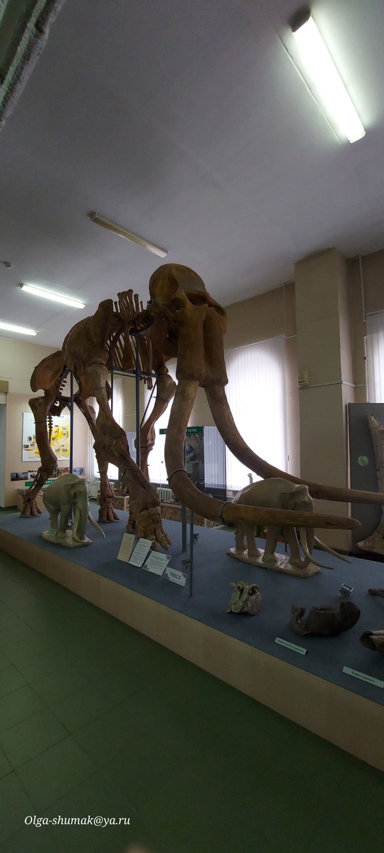 Краеведческий музей в Ставрополе