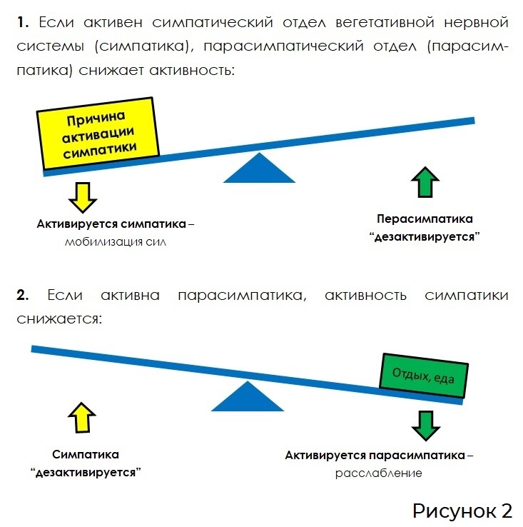 Рисунок 2