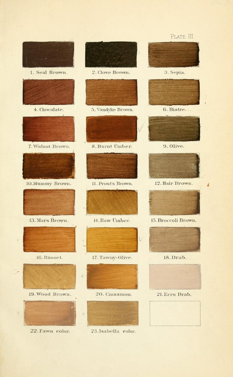 https://en.wikipedia.org/wiki/Mummy_brown#/media/File:A_nomenclature_of_colors_for_naturalists_-_and_compendium_of_useful_knowledge_for_ornithologists._(1886)_(14777665391).jpg