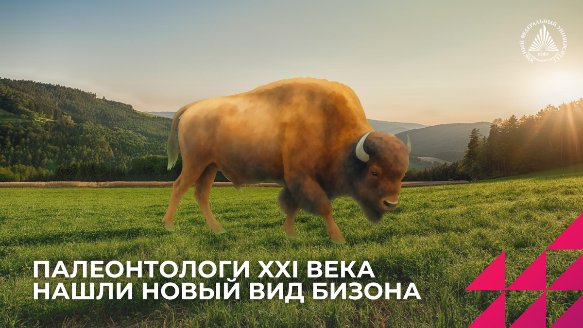 Изображение создано с помощью ИИ.