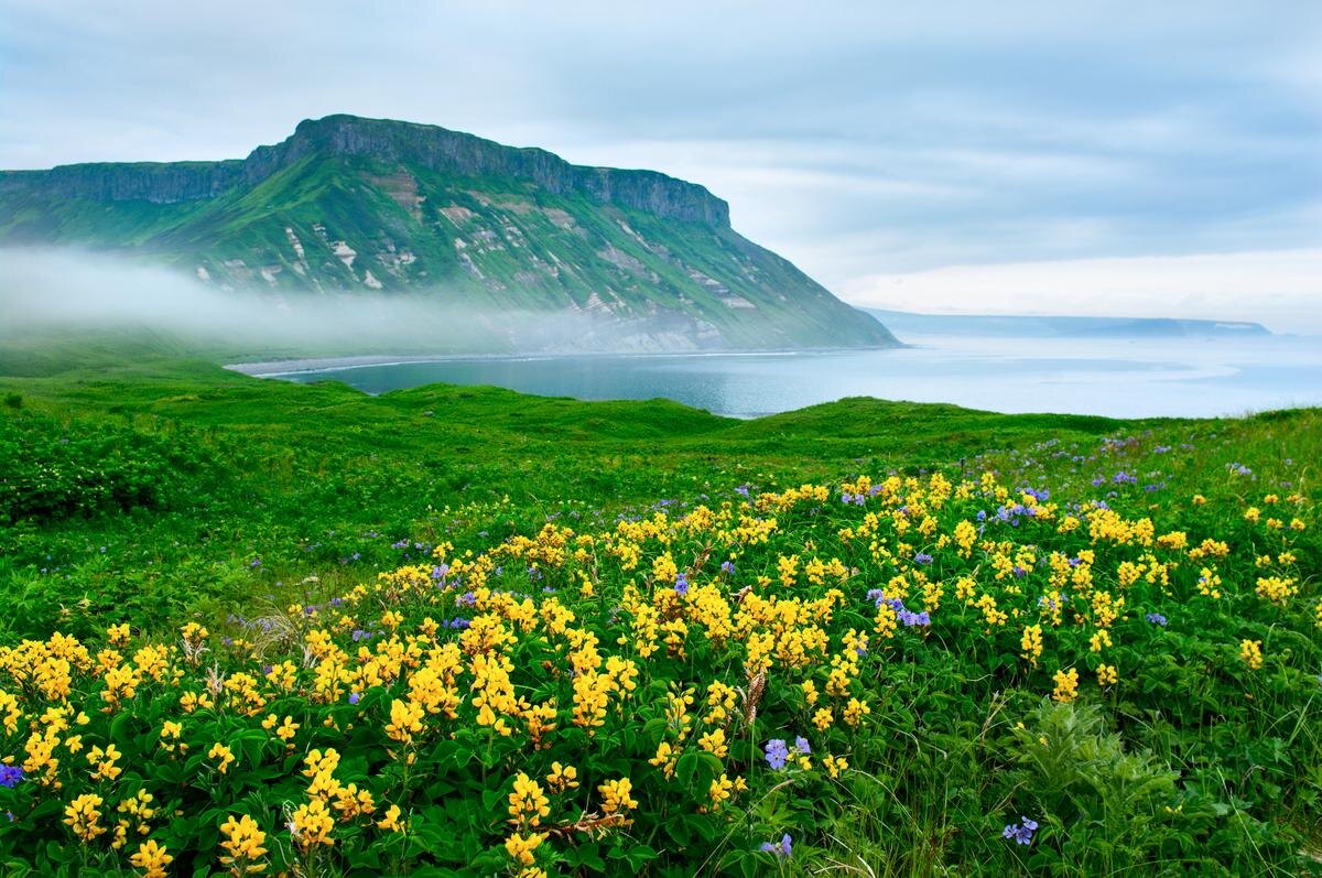 Остров Парамушир. Фото из интернета