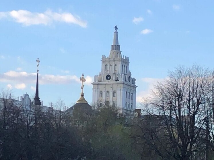     Фото: МК в Воронеже