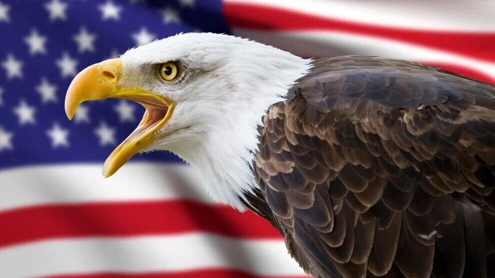    США
