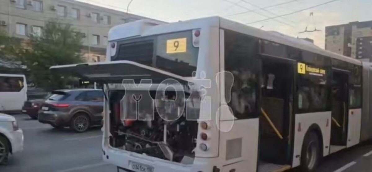    Фото: скриншот из видео