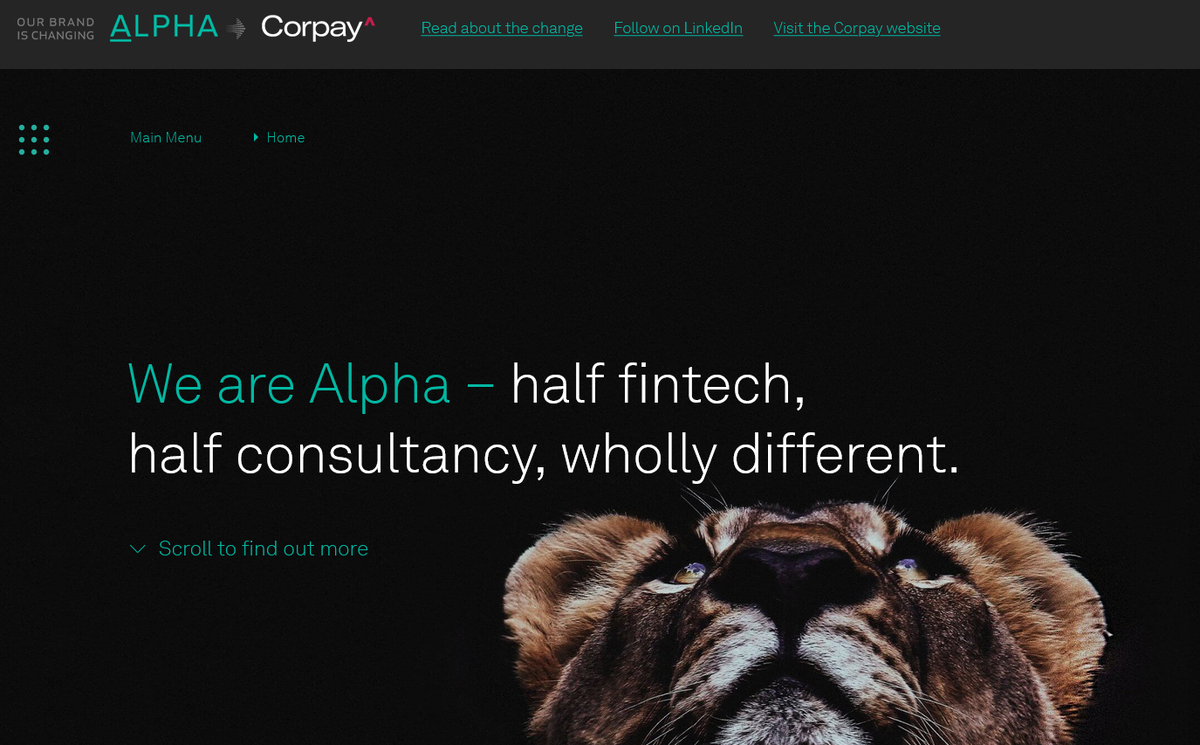 Приложение Alpha отзывы — биржа или скам?