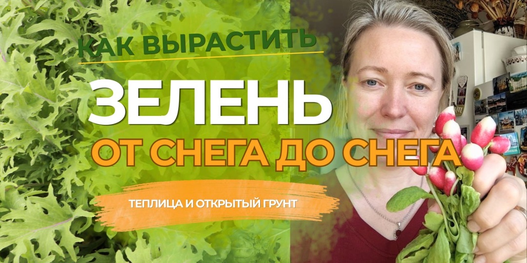 В моей группе Алёнин сад в Одноклассниках вышло новое длинное видео про зелень